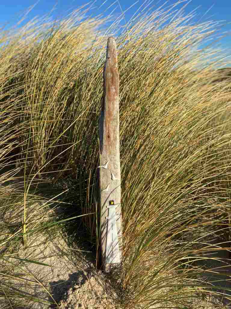 Treibholz mit Leuchtturm